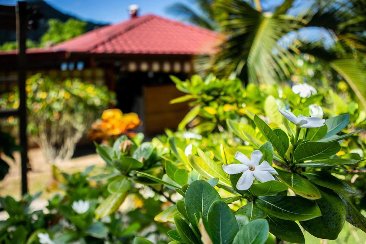 Raiatea sur Mer Opoa Exterior foto